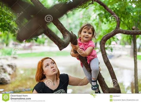 Girl Climbing Tree Stock Image Image Of Courage Daring 55578417