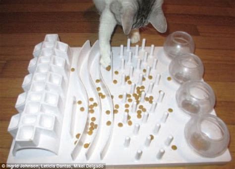 This is an easy project for everyone, and a. DIY food puzzles that can boost your cat's health - and ...