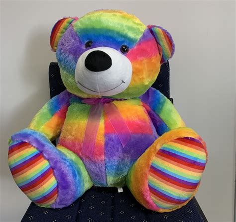 Large Rainbow Teddy Bear Airauctioneer