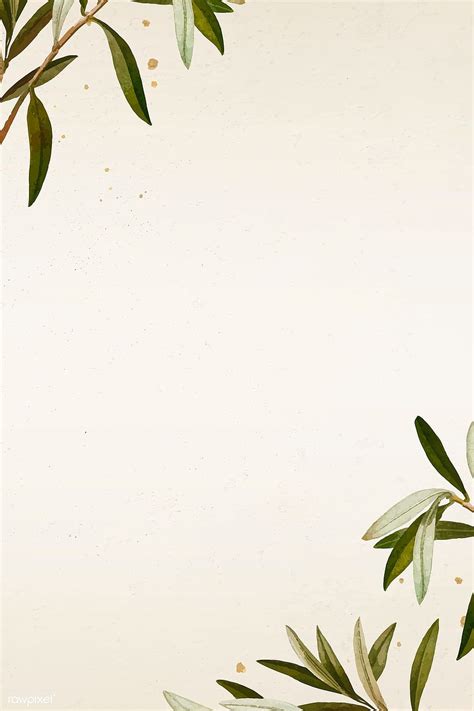 Olive Branch Flower Background Minimalist Olive Hd Phone Wallpaper