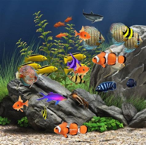 Animated Fish Aquarium 