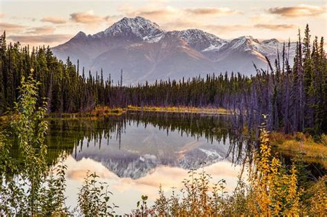 Junction with alaska highway 3 (elev. Alaska, Wildlife & Wilderness | Canada Tour | Freedom ...