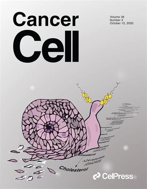 Lung cancer is the most frequent cancer and the leading cause of cancer death among males, followed by prostate and colorectal cancer (for incidence) and liver and stomach cancer (for mortality). Fox Chase Researchers Highlight Role of Lipids in ...