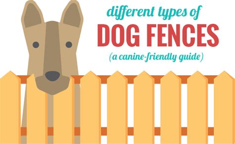 Types Of Dog Fences 101 Guide Infographic