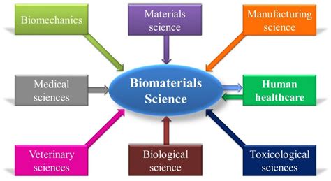 Biomaterials And Tissue Engineering Fifteen Eighty Four Cambridge
