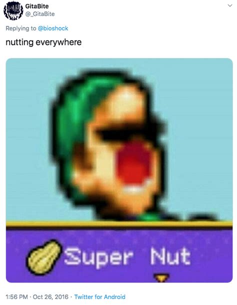 Luigi Super Nut Know Your Meme