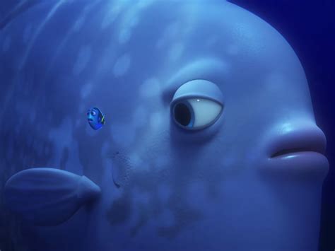 Finding Dory Cast And Voice Actors In Real Life Business Insider