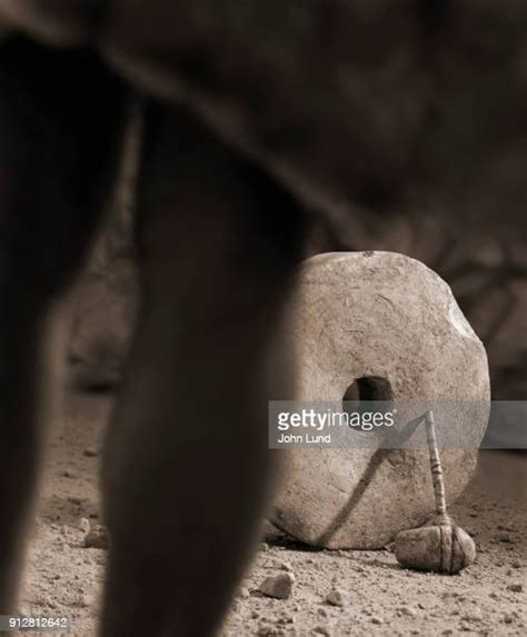 Caveman Wheel Photos And Premium High Res Pictures Getty Images