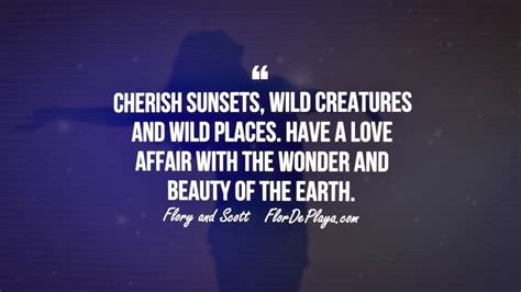 Cherish Sunsets Wild Creatures And Wild Places YouTube