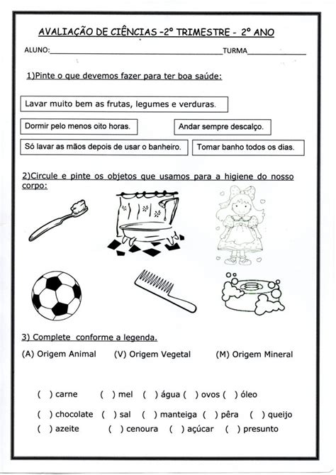 Atividade De Ciências Para 2 Ano Askbrain