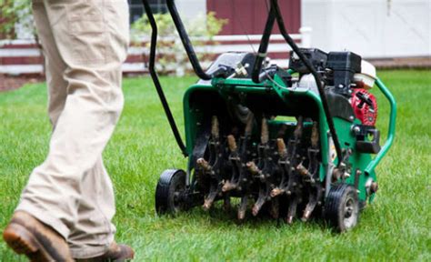 Aeration And Seeding Pro Grass Lawn Care