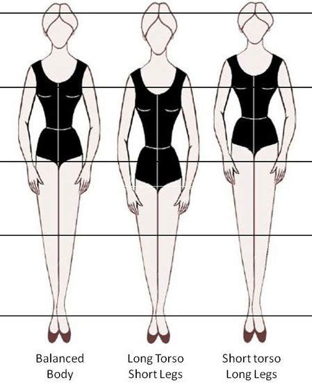 Long Vs Short Torso Images And Photos Finder