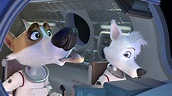 Space Dogs: Return To Earth - Film Review and Listings