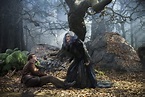 James Corden as the Baker and Streep as the Witch. | Into the Woods ...
