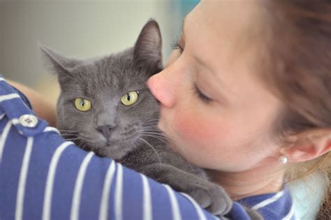 8 Ways Cats Show Their Love To Humans Cat Fancast