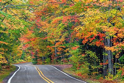 The 13 Best American Road Trips To See Fall Leaves Fall Foliage Road