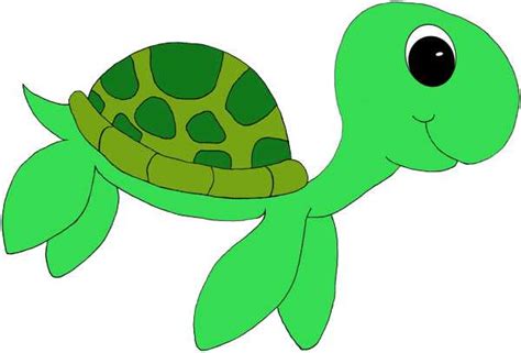 Green Sea Turtle Clipart 20 Free Cliparts Download Images On