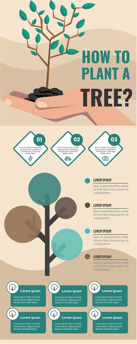 Tree Of Life Infographic