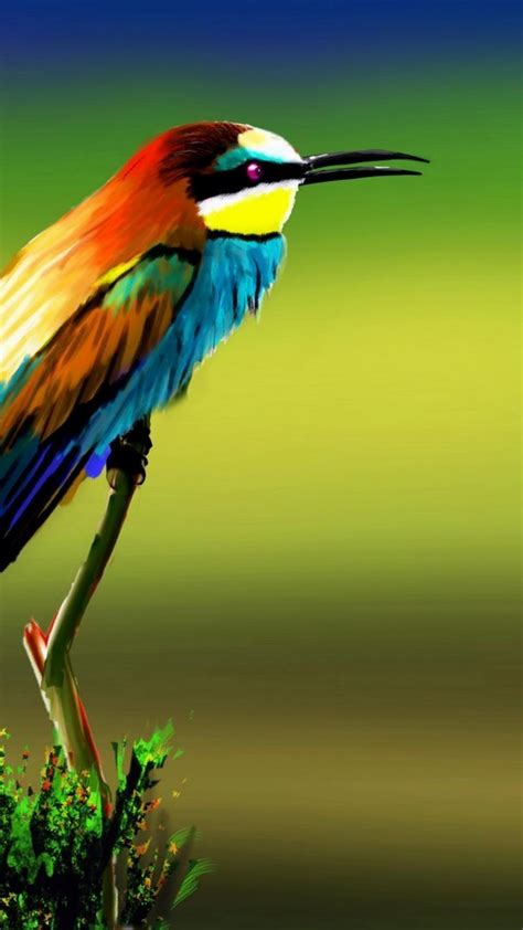 Birds Wallpaper Android Wallpaper Beautiful Birds 1080x1920 Bee Eaters