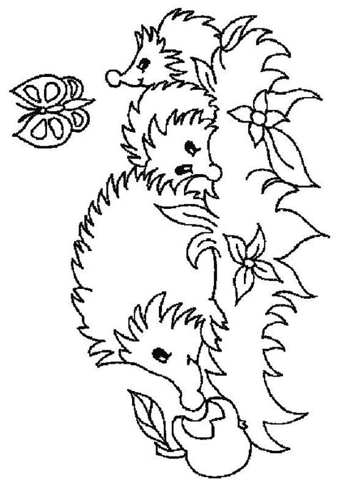 Hedgehogs Coloring Pages 12 Coloring Kids