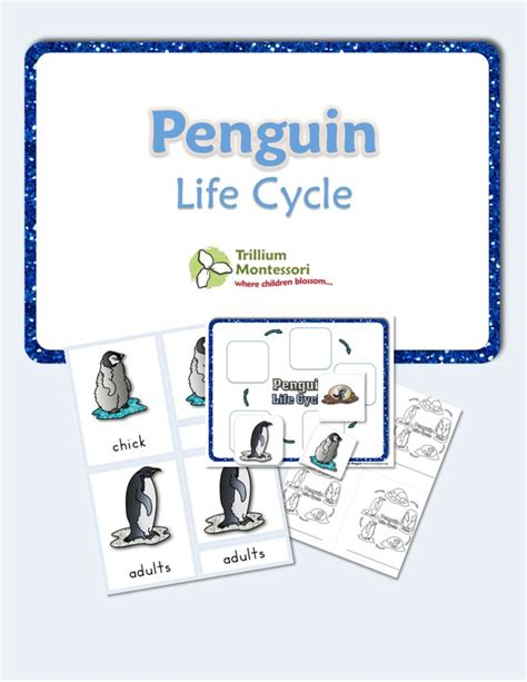 Free Printable Life Cycle Of A Penguin Trillium Montessori Life