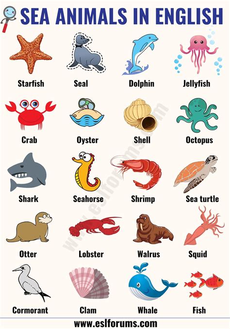 Sea Animals List With Pictures Happy Sharing Carring Huge