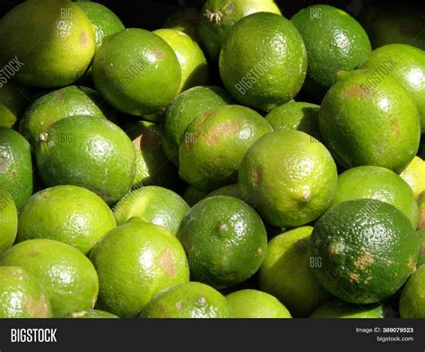 Ripe Limes Organic Image And Photo Free Trial Bigstock