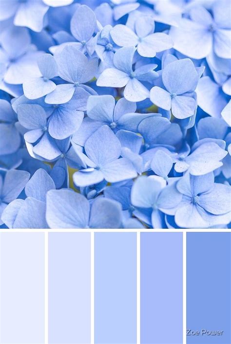 Pastel Blue Color Pastel Colour Palette Colour Pallette Periwinkle