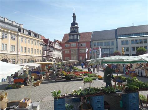 Am stadtrand eisenachs, direkt am waldrand unterhalb der wartburg, liegt das hotel haus hainstein in der südstadt, einem der größten denkmalgeschützten villenviertel deutschlands. Foto-Archiv Eisenach - Elch on Tour
