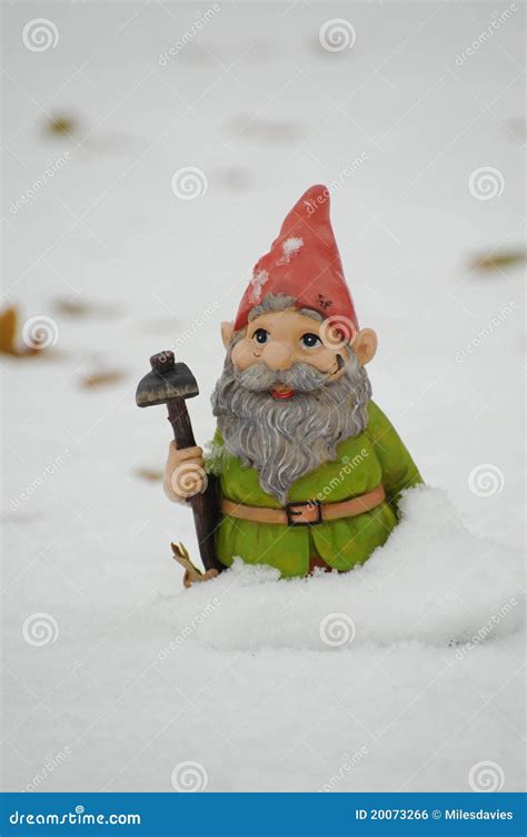 Gnome In The Snow Stock Photo Image Of Cold White Freezing 20073266