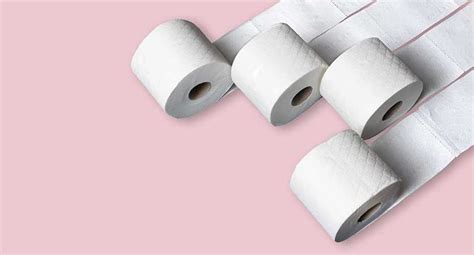 Toilet Paper Basics Length Width And Uses Twimbow