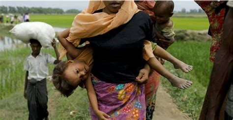 bangladesh frets about population boom in rohingya camps justclick preferred consumers choice