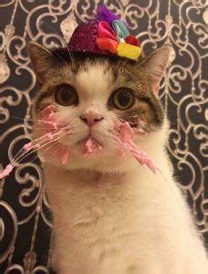 Get fun ideas for cakes, desserts, decorations, favors, invitations, party supplies, and more! Pin on Perros