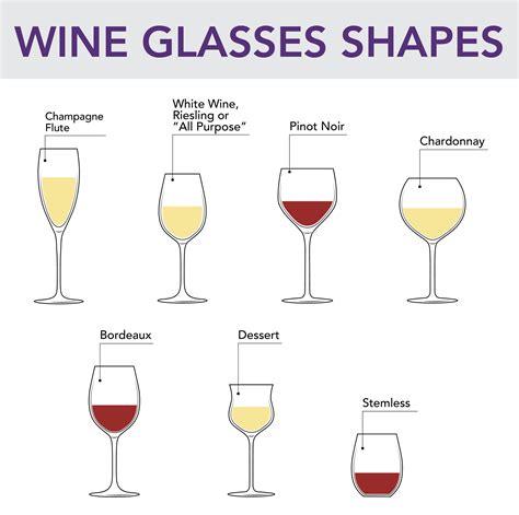 Wine Glasses Shapes Stems Cleaning And Care From The Vine