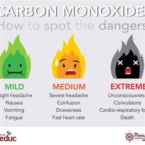 Signs Symptoms Carbon Monoxide Safety Home Safety Leighann