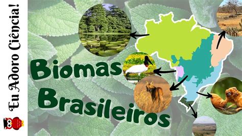 Biomas Brasileiros Bioma Brasileiro Biomas Comida Brasileira Images