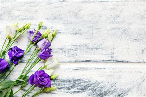 Crea il tuo giardino privato con questa splendida serie di fiori blu a punto croce: Fiori Di Eustoma Bianco Su Sfondo Rosa Composizione ...