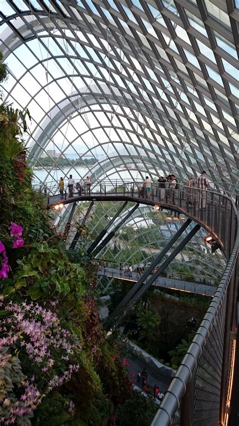 Singapore Gardens by the Bay : Cloud Forest Dome | Visions of Travel