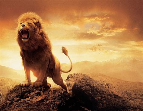 The Lion Of Judah Now Roaring Over The Church Z3 News