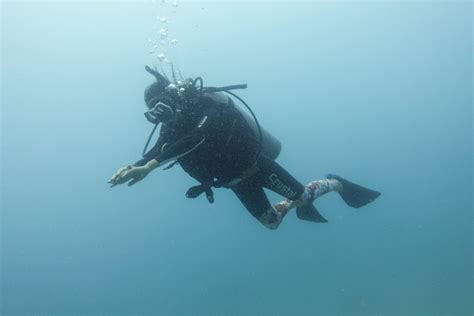 PADI Divemaster Course Koh Tao In Thailand Crystal Dive Koh Tao Diving Open Water Padi Diving