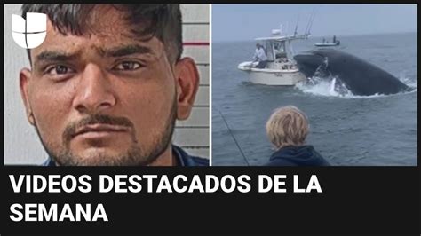 Vendedor De Loter A Roba Raspadito Ganador Y Ballena Voltea Un Bote