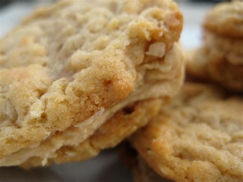 Girl Scout Peanut Butter Oatmeal Sandwich Cookies A Bountiful Kitchen