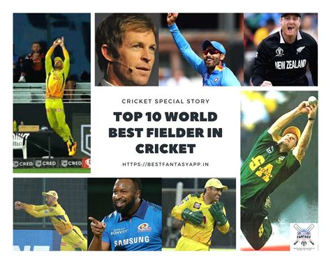 Top 10 World Best Fielder In Cricket Best Fantasy App 2024