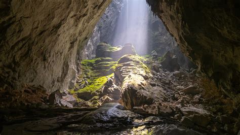 The Weird Truth About Hang Son Doong The Cave With Its Own Rainforest
