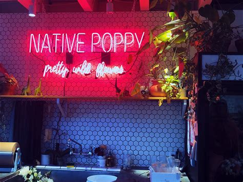 Native Poppy Flower Shop Coffee Flower Poppy Flower Flower Shop