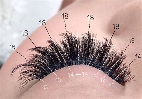 Lash Trainer On Instagram Lash Map Wispy Striplashlook For This Strip Lash Look I