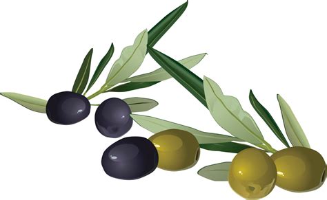 Olives Png Image Purepng Free Transparent Cc0 Png Image Library