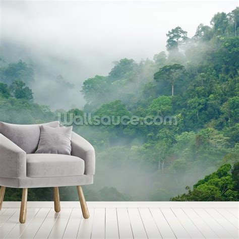 Rainforest Morning Fog Wallpaper Mural Wallsauce Us