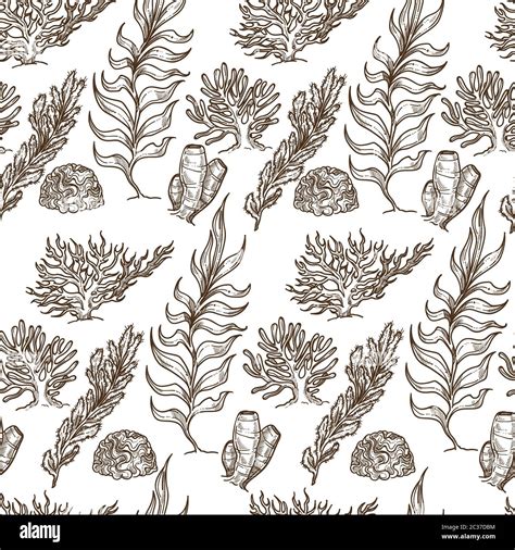 Tropical Leaves And Seaweed Plants Underwater Seamless Pattern Stock