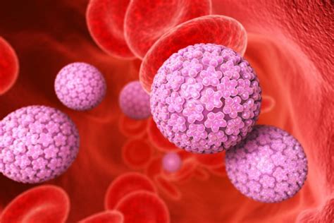 Como Es El Virus Del Papiloma Humano En La Mujer Tratamiento Cancer Sexiz Pix